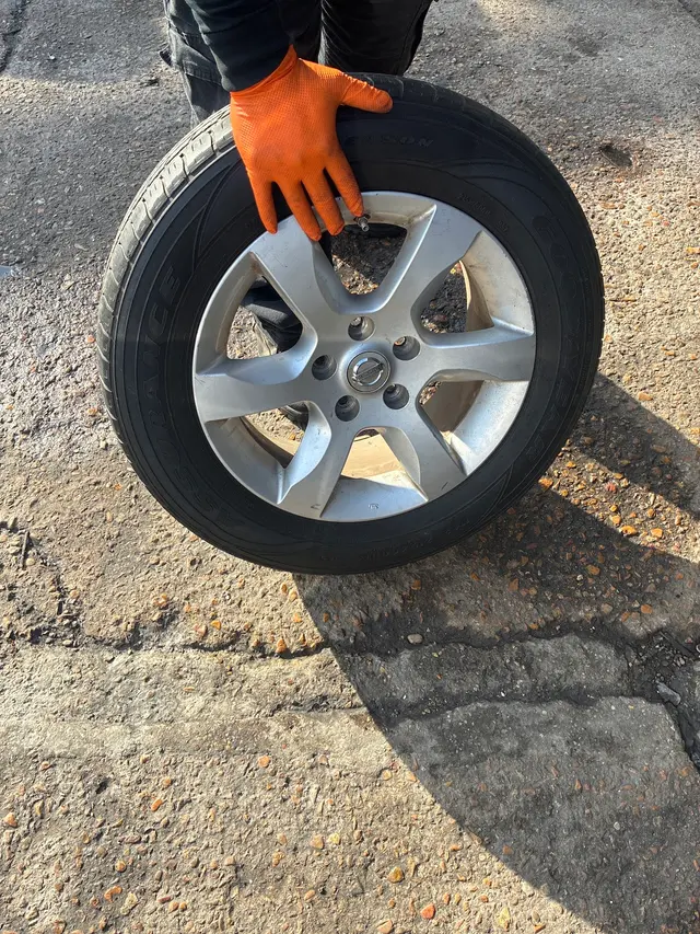 Customer photo from Lloyd's review