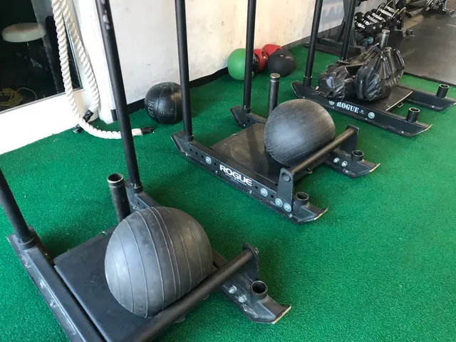 Omalza Fitness — photo from the business 8