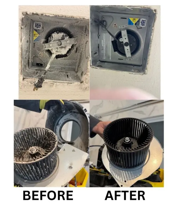 Whole Duct — photo from the business 1