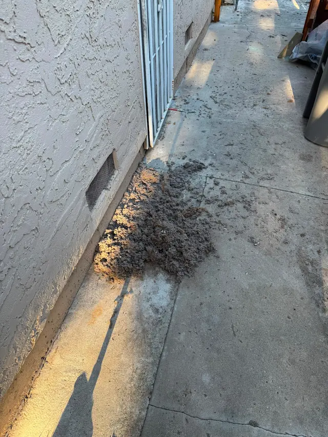 Customer photo of work by Whole Duct, from Kim Ng's review