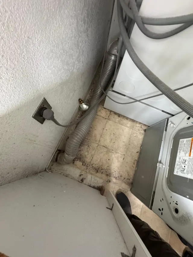 Whole Duct — customer photo 6