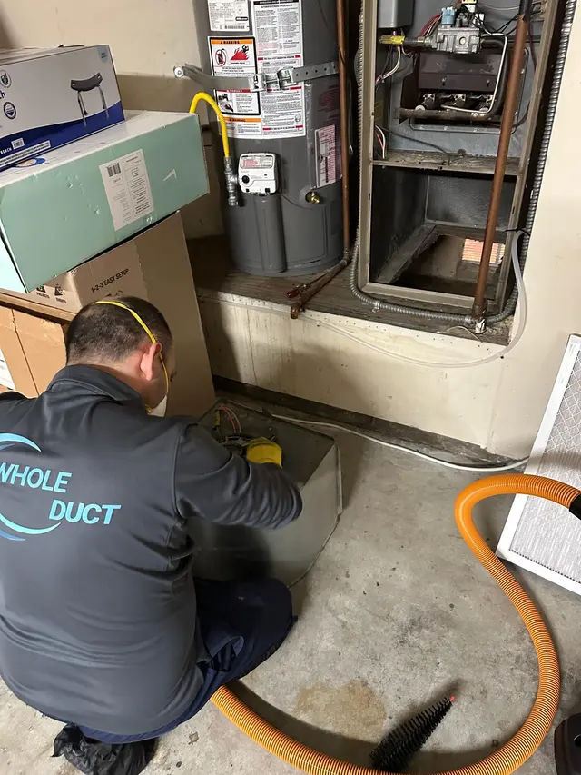 Whole Duct — photo from the business 5