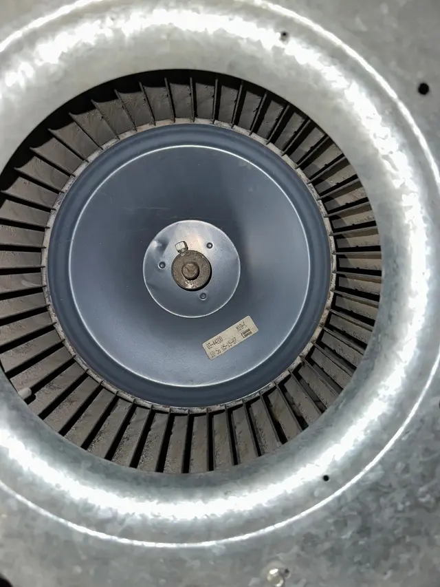 Whole Duct — photo from the business 8