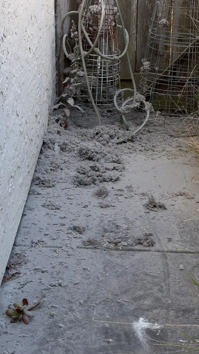 EA Duct Cleaning — customer photo 10