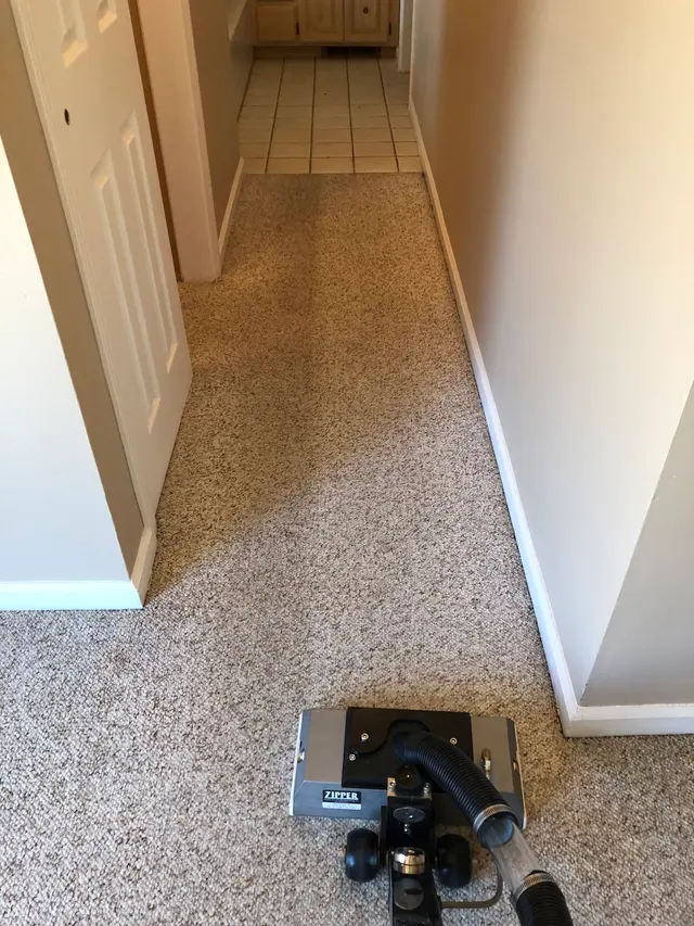 Steam Pros Carpet and Tile Cleaning — photo from the business 4