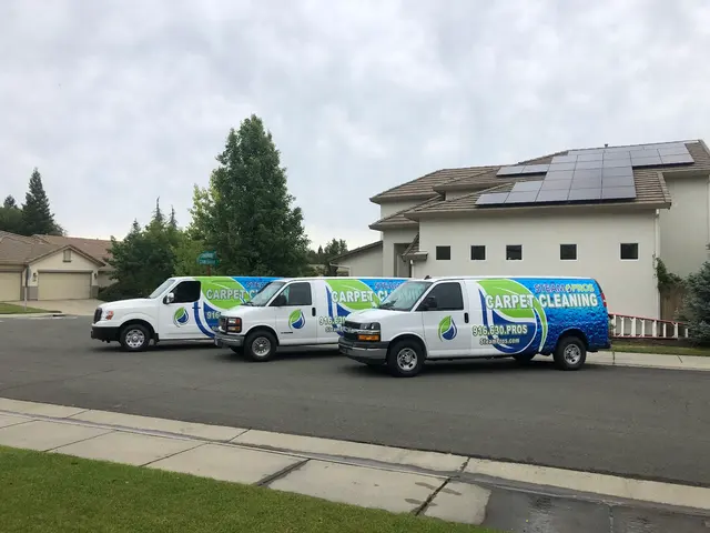 Steam Pros Carpet and Tile Cleaning — photo from the business 3