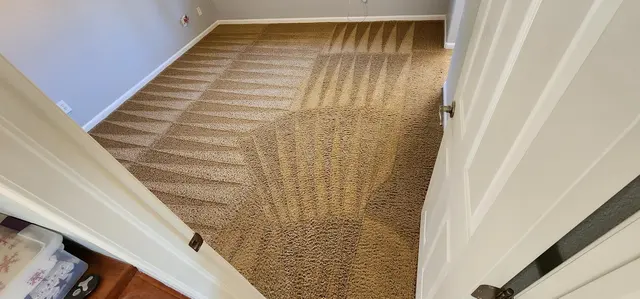 Steam Pros Carpet and Tile Cleaning — photo from the business 8