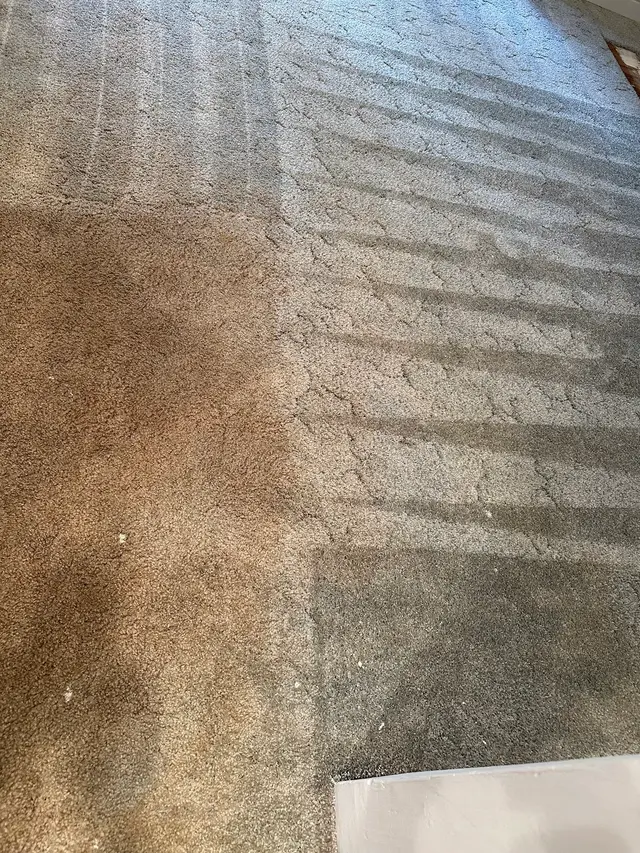Customer photo from Janet's review