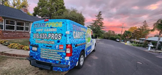 Steam Pros Carpet and Tile Cleaning — photo from the business 1