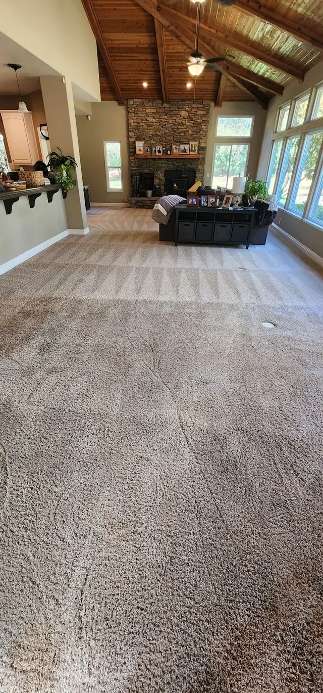 Steam Pros Carpet and Tile Cleaning — photo from the business 2