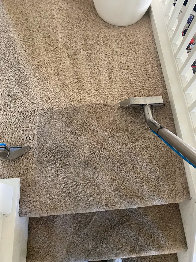 Ultra Steam Carpet & Tile Cleaning — photo from the business 2