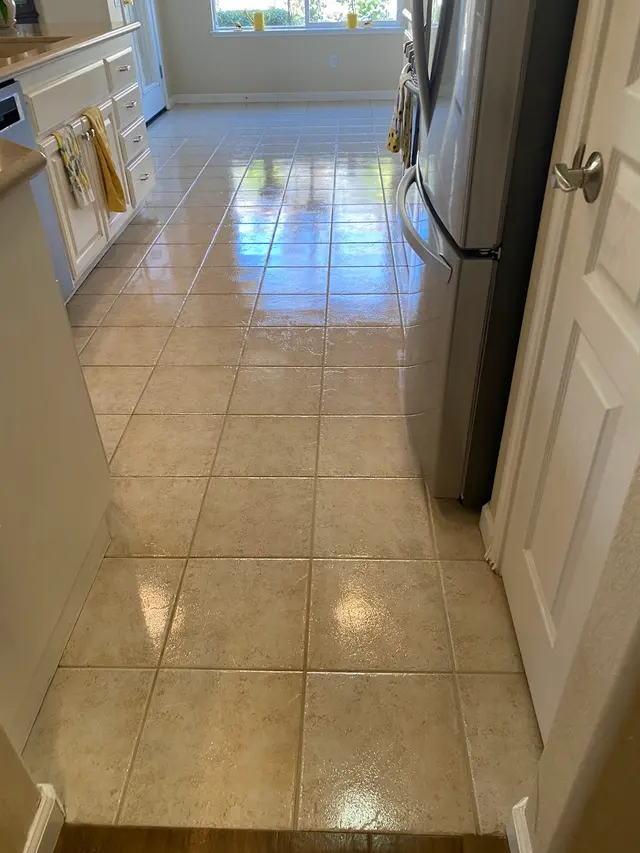Ultra Steam Carpet & Tile Cleaning — photo from the business 11