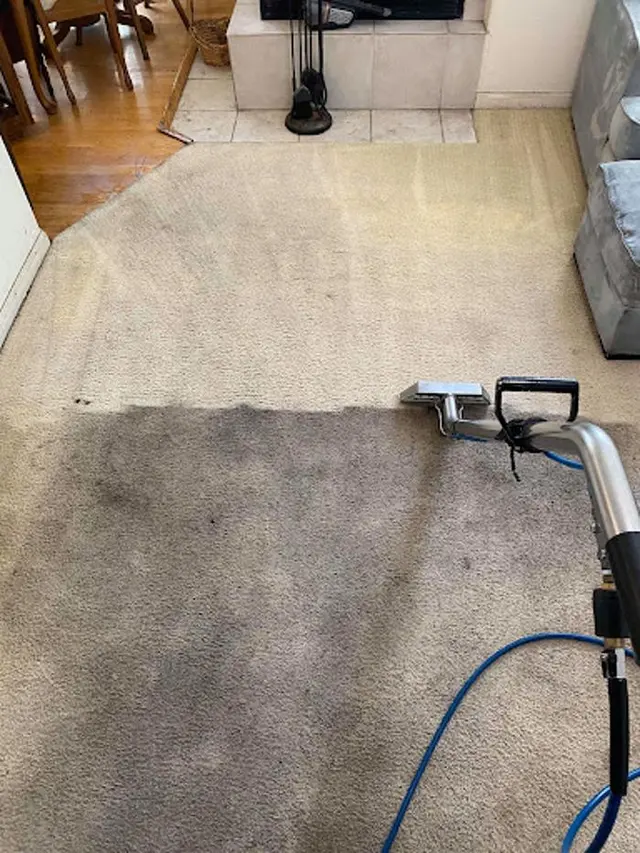 Ultra Steam Carpet & Tile Cleaning — photo from the business 1