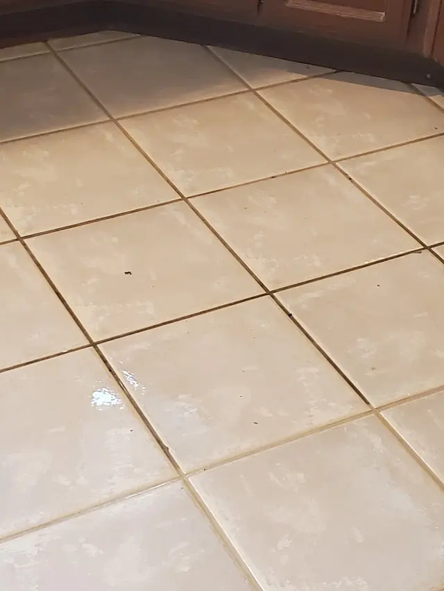 Customer photo from VimmiP's review