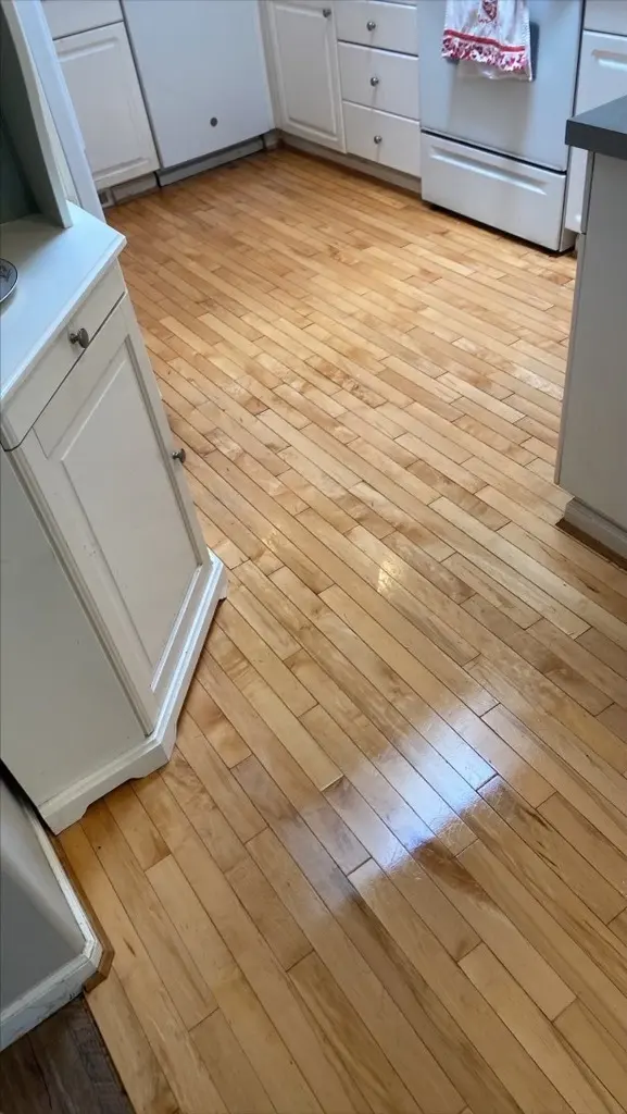 Zerorez Sacramento Carpet Cleaning — photo from the business 6