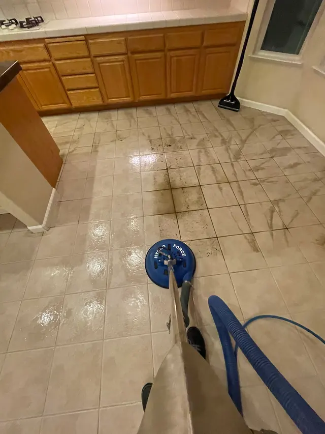 Zerorez Sacramento Carpet Cleaning — photo from the business 3