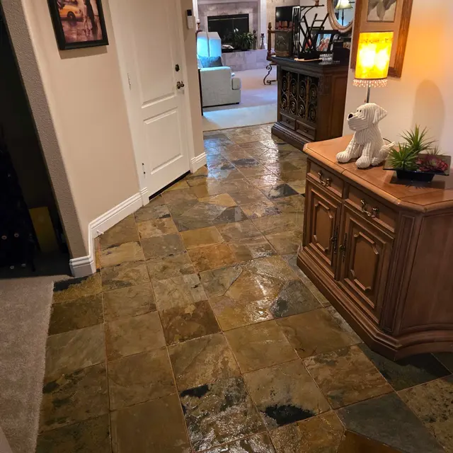 Zerorez Sacramento Carpet Cleaning — photo from the business 4