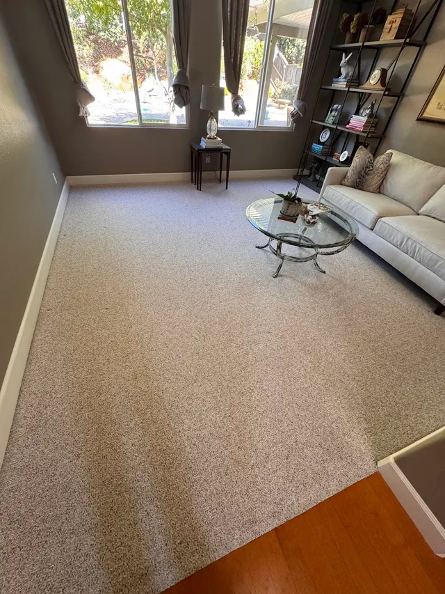 Zerorez Sacramento Carpet Cleaning — photo from the business 2