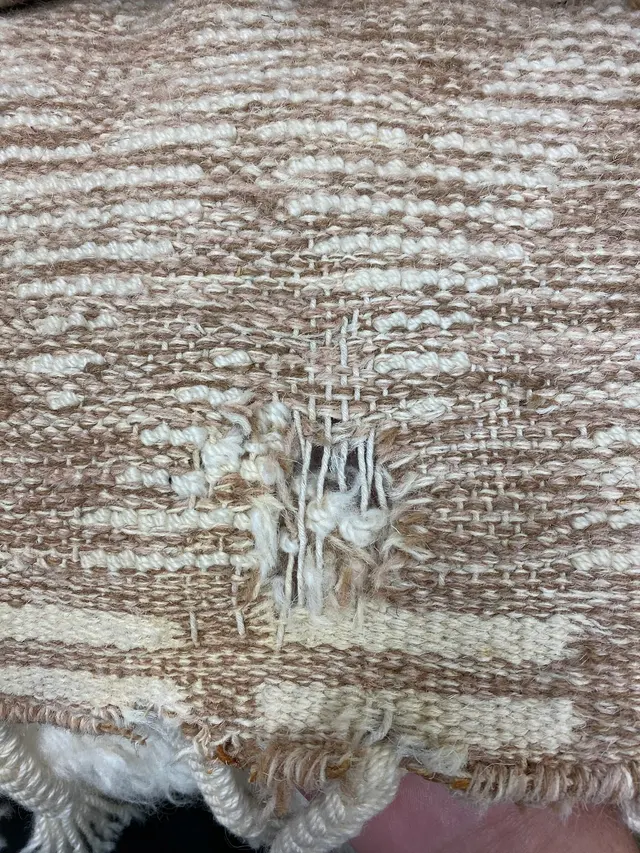 The Rug Specialists — photo from the business 5