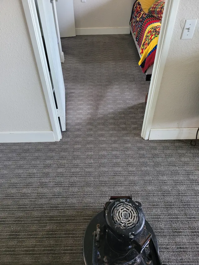 Inspector Clean — photo from the business 5