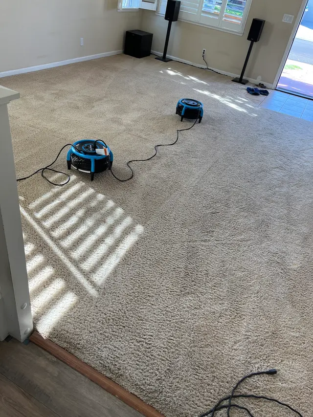 Inspector Clean — customer photo 7