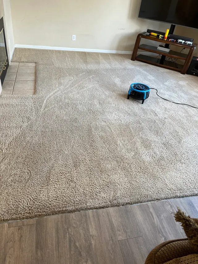 Inspector Clean — customer photo 2