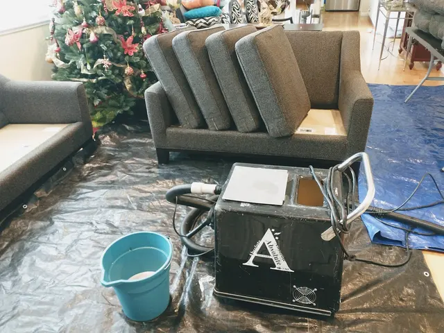 Inspector Clean — photo from the business 12