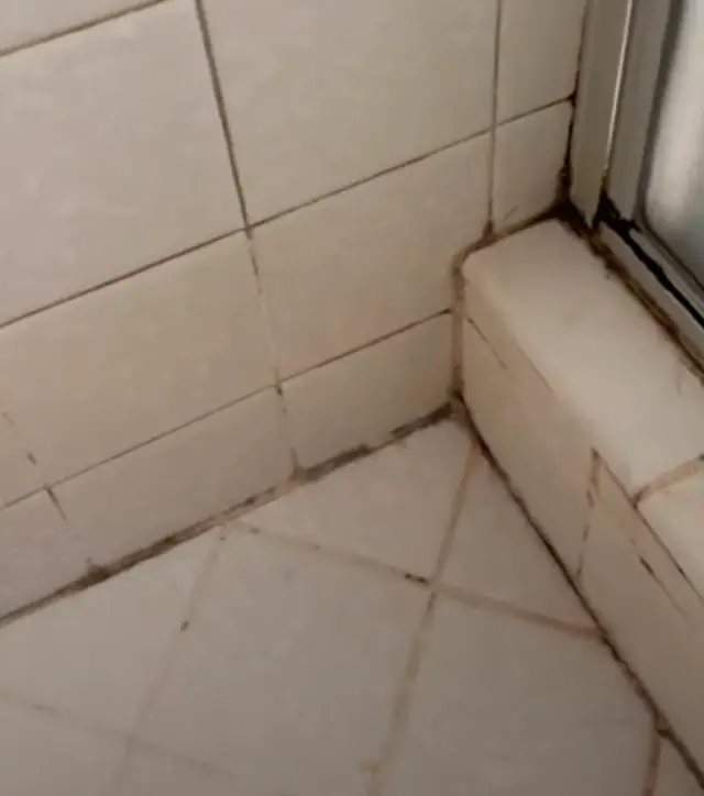 GroutRepairPro - Grout and Caulk Repair — customer photo 12