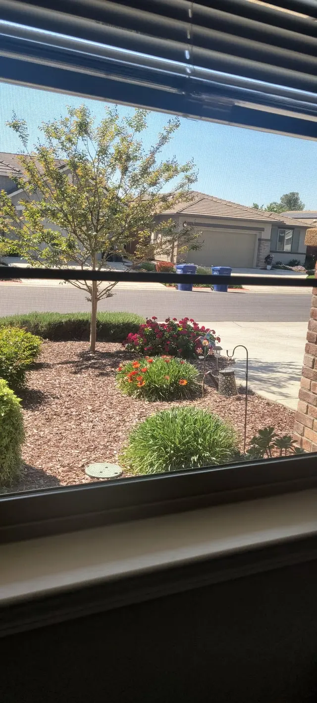 Customer photo from Norma's review