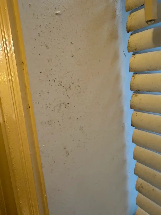 Customer photo of work by Neat N Tidy House Cleaning, from Noel Lozano's review