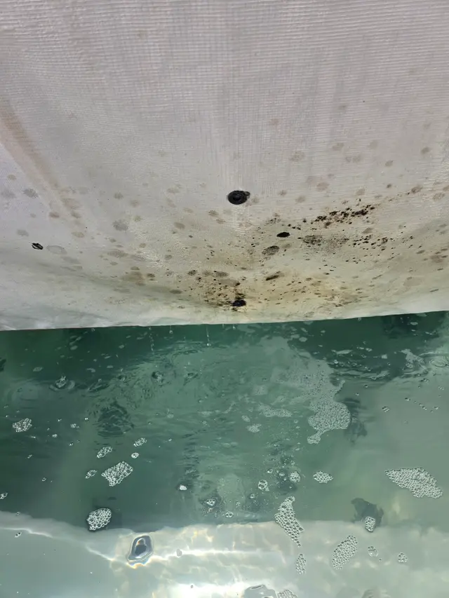 Customer photo of work by Poolwerx Denver, from Fred Kops's review