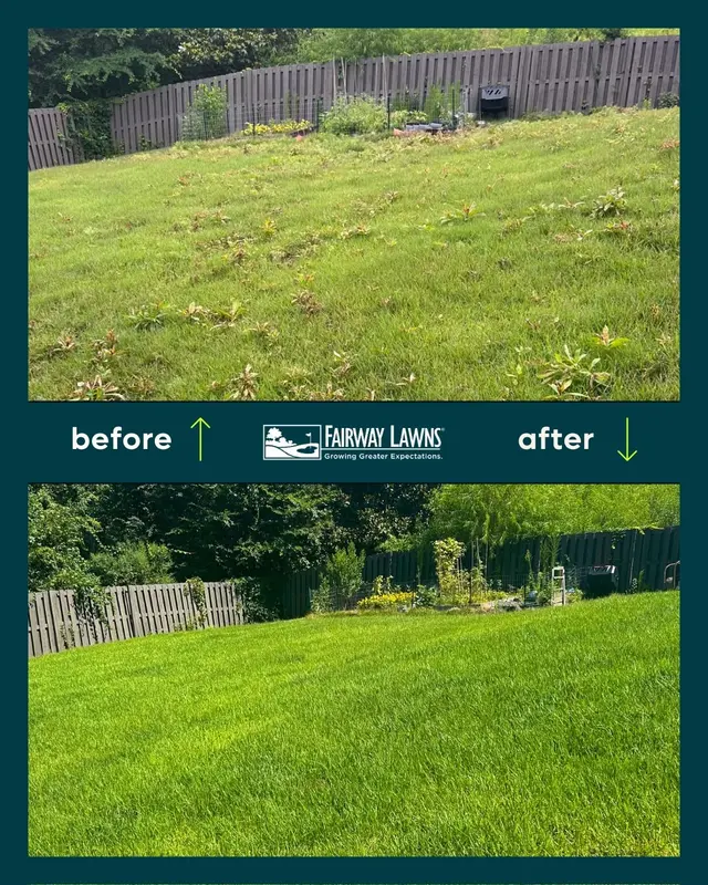Fairway Lawns of Nashville — photo from the business 3