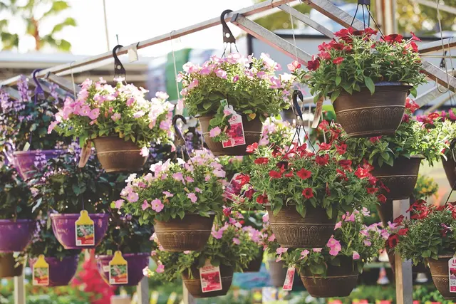 Garden Center at The Home Depot — photo from the business 5