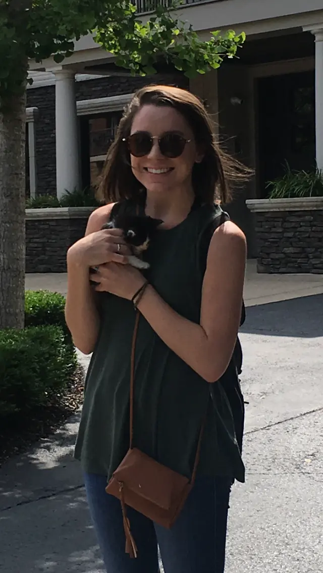 Music City Cats — photo from the business 12