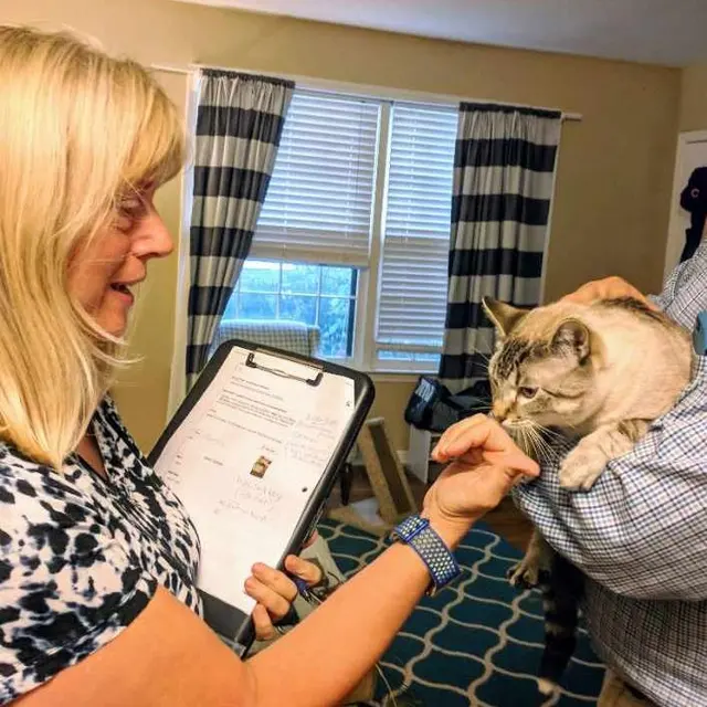 Music City Cats — photo from the business 1