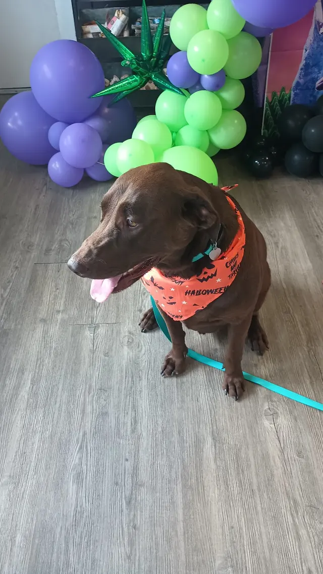 Customer photo from Penny's review
