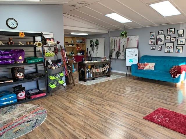 Nashville Pet Spa — photo from the business 6