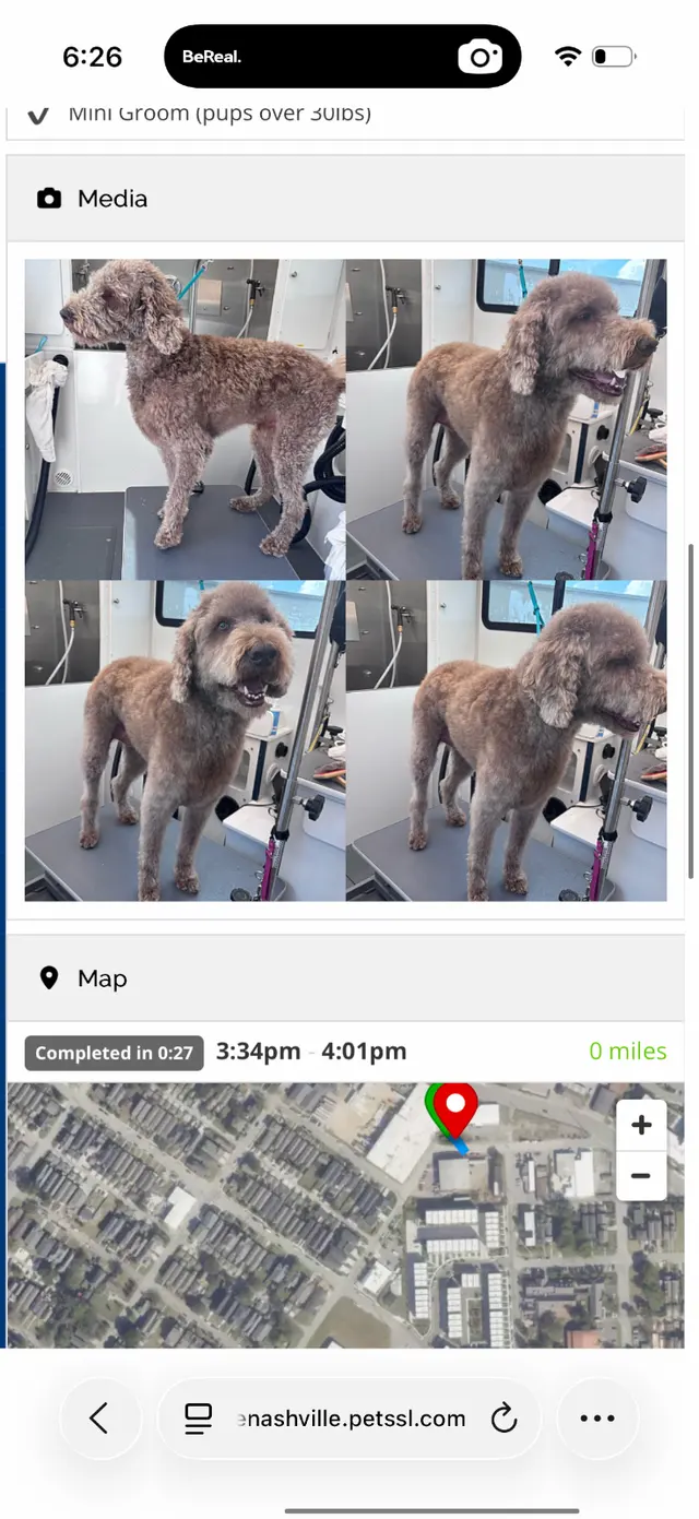 Woofie's Pet Services — customer photo 10