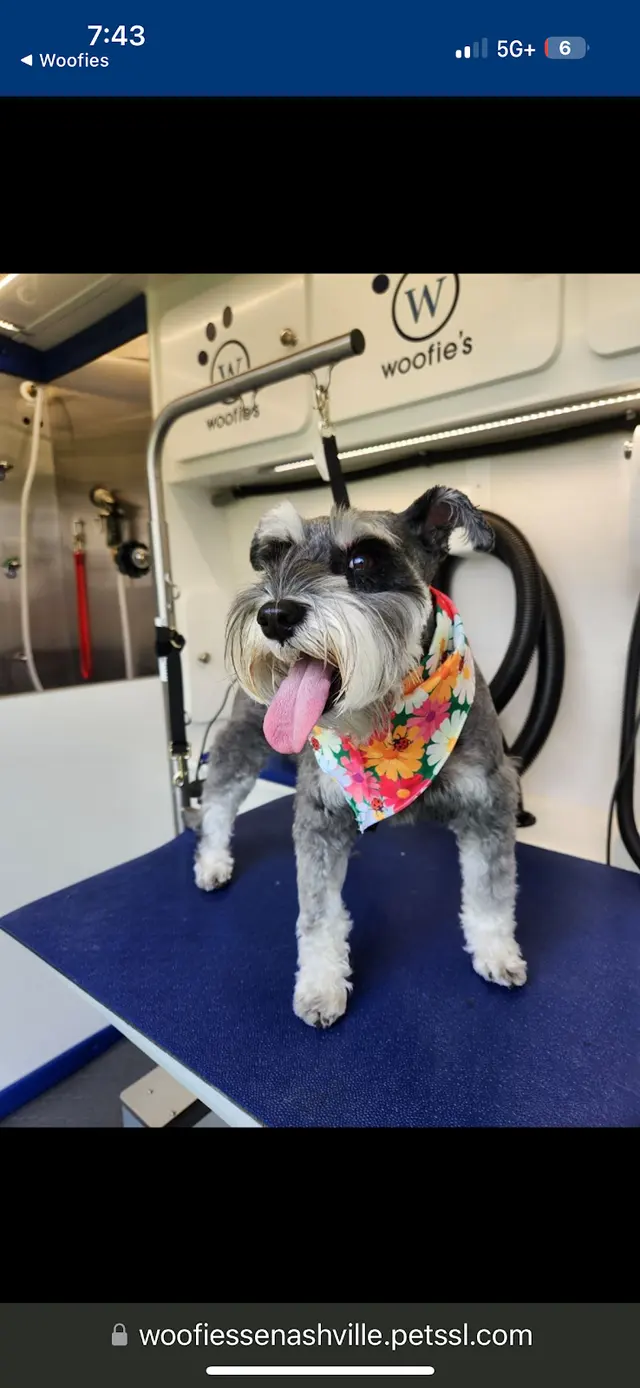 Woofie's Pet Services — photo from the business 7