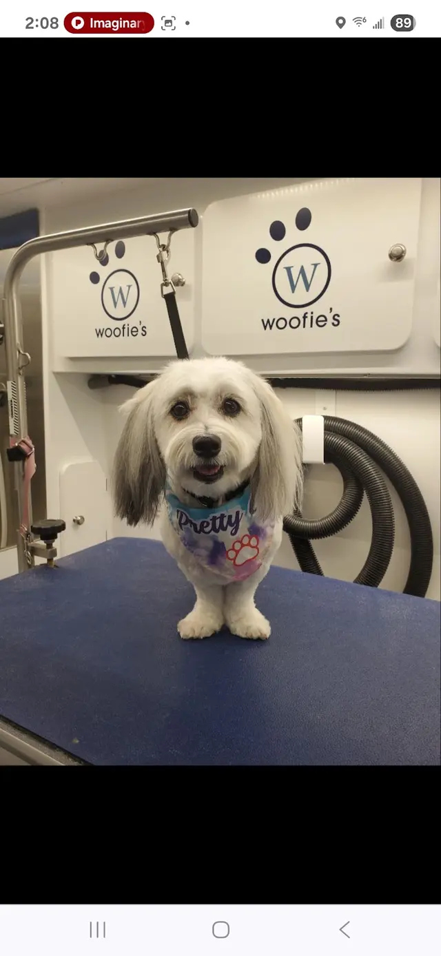 Woofie's Pet Services — customer photo 12