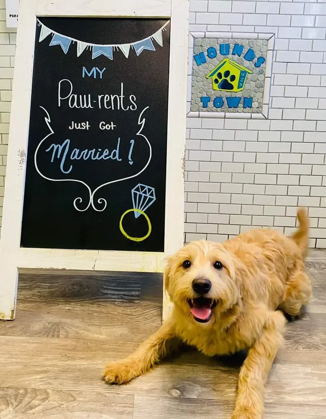 Hounds Town - Nashville — photo from the business 9