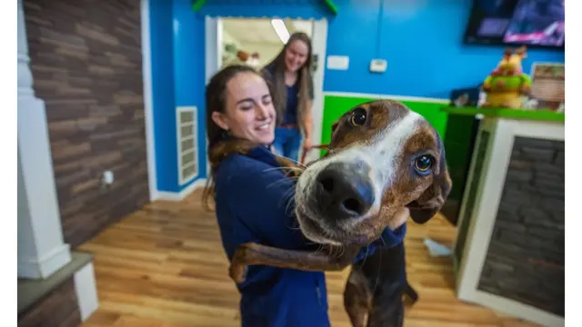Hounds Town - Nashville — photo from the business 1