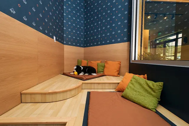 Yardstick Dog Hotel - Berry Hill — photo from the business 9