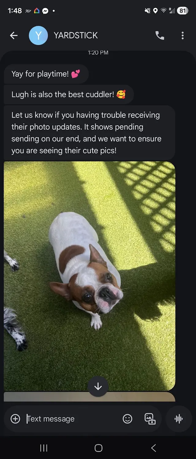 Customer photo of work by Yardstick Dog Hotel - West Nashville, from April Kane's review
