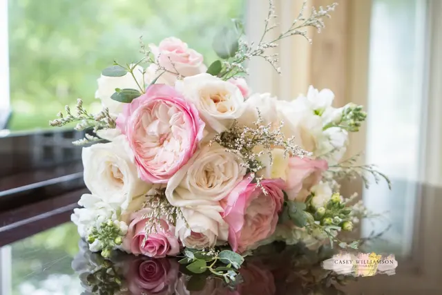 Casey Williamson Photography — photo from the business 2