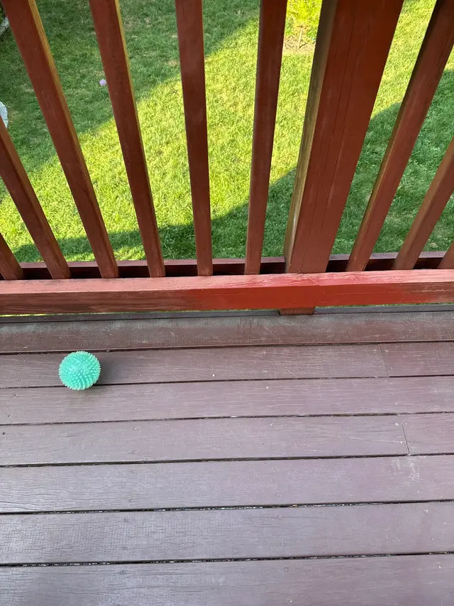 Customer photo from Todd's review
