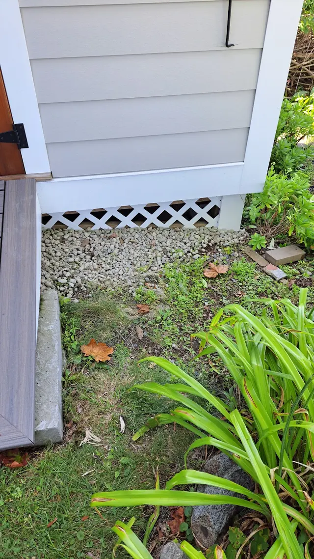 Customer photo from Carl's review
