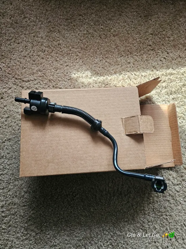 Customer photo from SILENNY.'s review