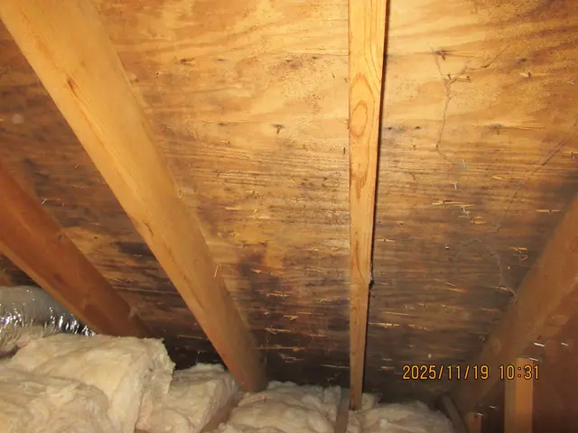Elite Inspections Inc. — photo from the business 8