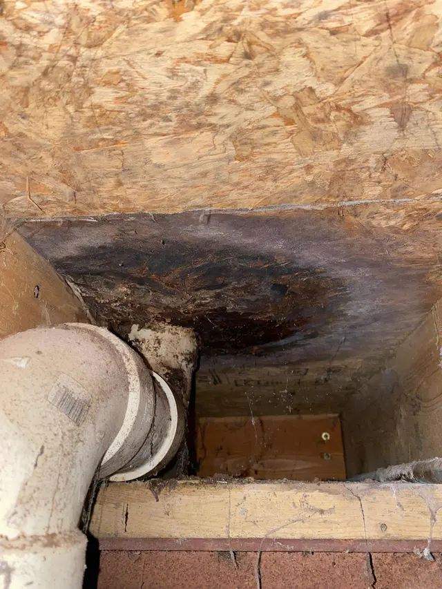 Prospective Home Inspections — photo from the business 10